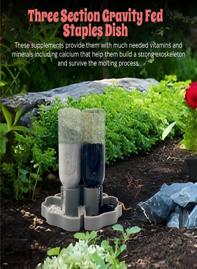 Snout and Shell Hermit Crab Gravity Feeder - 3 Well feeders - Gray for Greensand, Oyster Shell Flour and Worm castings by Snout and Shell - Image 5